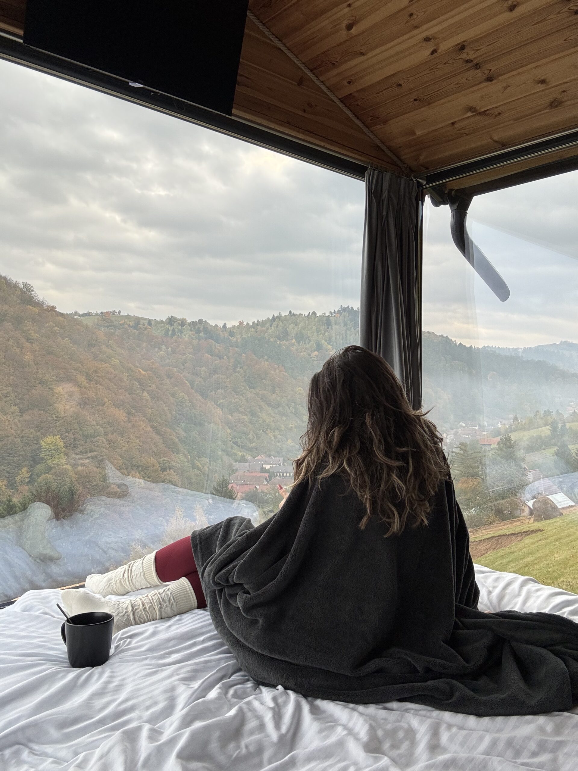 Cazare de vis în Poiana Mărului, GrizzlyCabin